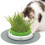 Catit Catit Senses Grass Planter 1