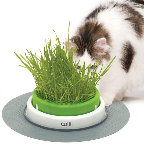 Catit Catit Senses Grass Planter