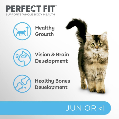 Perfect Fit Junior 2