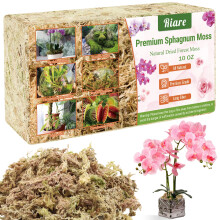 Riare 300g Natural Sphagnum Moss Dried Forest Moss Long Fibered Orchid Moss Potting Mix for Potted Plants Carnivorous Plants Moss Orchid Potting