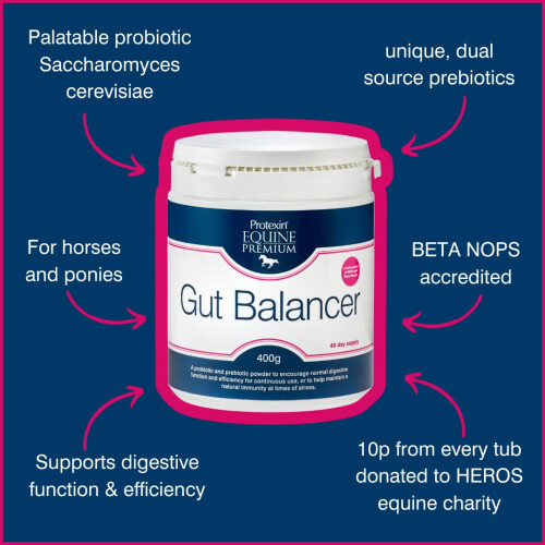 Protexin Protexin Equine Premium Gut Balancer 400 g 1