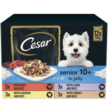 CESAR Senior 10+ Deliciously Fresh Wet Dog Food Pouches Aged Dogs, Mixed Selection in Jelly, Suitable for Senior Dogs Aged 10+, Pack of 4 (4 x 12