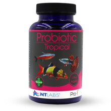 NT Labs Pro-F Probiotic Tropical Fish Food For Freshwater Tropical Fish (Contain Viable Probiotic Cultures) Granules For Tropical Aquariums, Supports