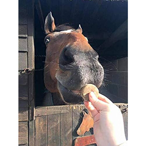 Premier Performance CZ Calming Cookies - 10 x Apple 2