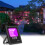 Faro LED a luce nera da 10 W, 11,2  3,6  13,1 cm 2