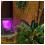 Faro LED a luce nera da 10 W, 11,2  3,6  13,1 cm 4
