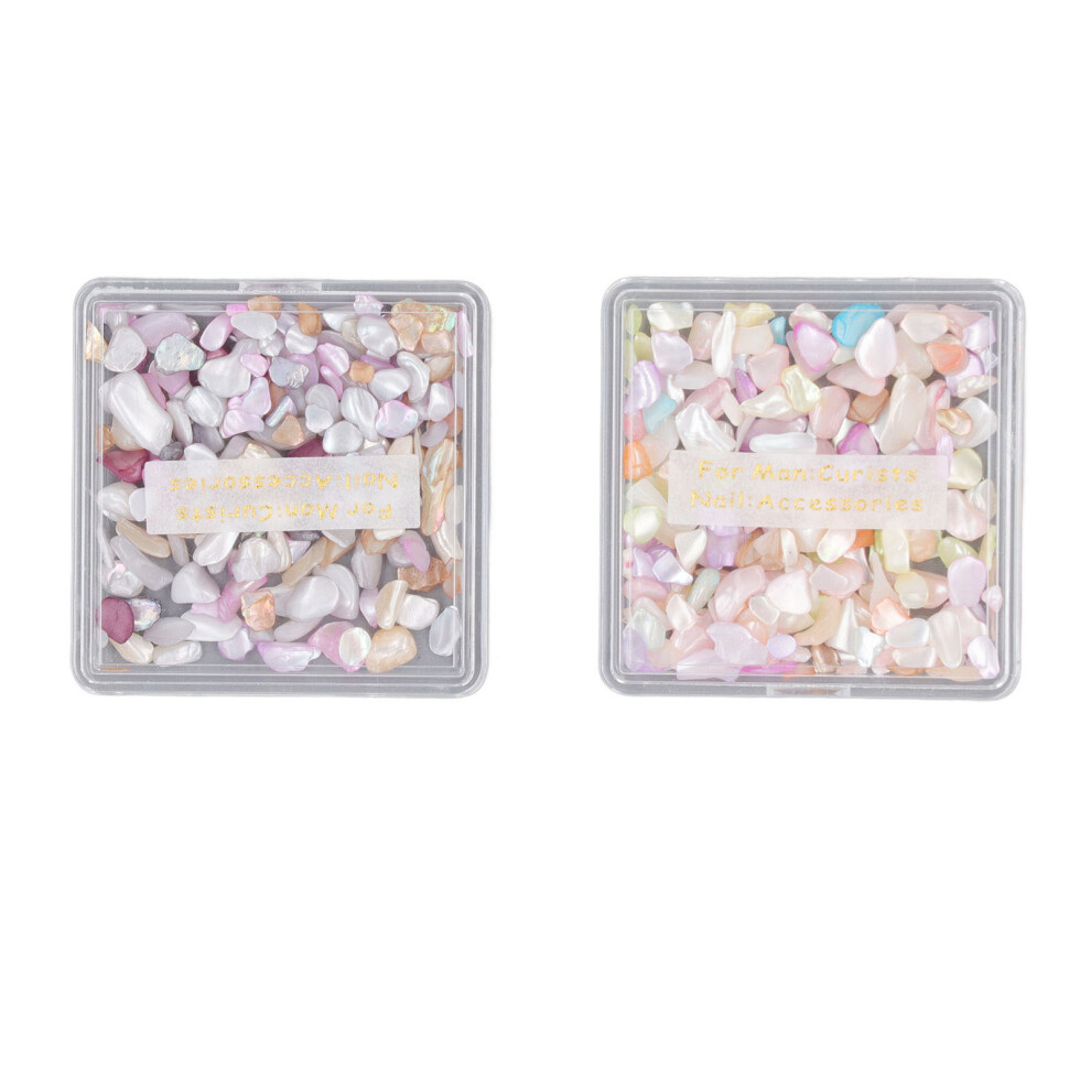 2 Box Seashell Slices Nail Art Supplies Irregular