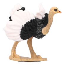 Modèle d'autruche Prop773 en PVC figurine pédagogique 3+