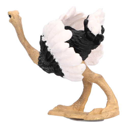 Figurina educativa in PVC modello Struzzo Prop773 2