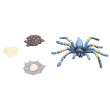 Spinnentier Lebenszyklus Insektenwachstumszyklus Modell Simulation Kinder Bildungs-Spielzeug