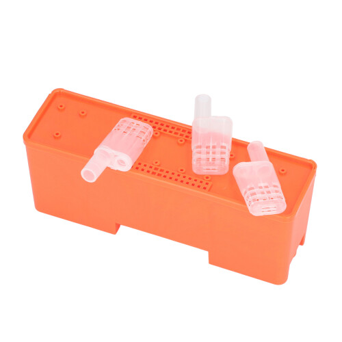 King Cage Transport Box with 20Pcs Queen Bee 2
