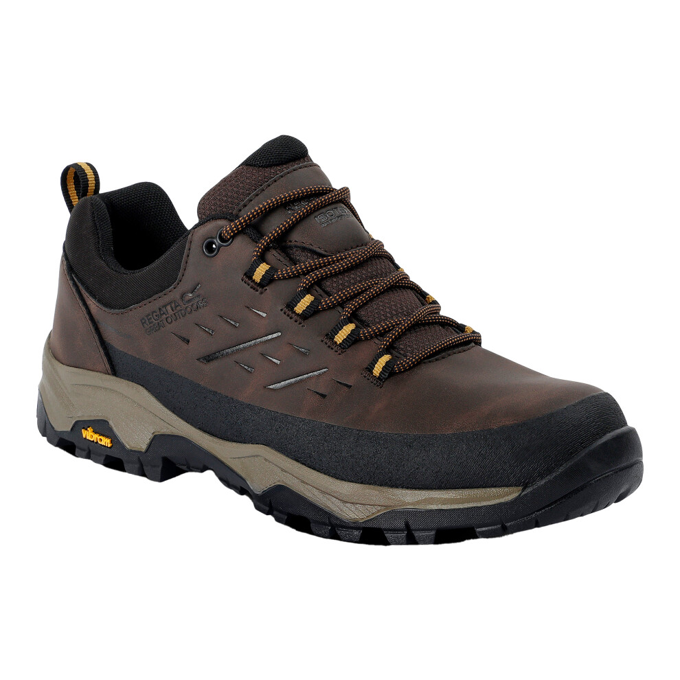 Regatta Men's Multicoloured Blake Low Walking Shoes
