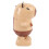 Jouet Capybara - Modèle Capybara, 3xAA, Taille S, Couleur 16