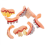 Halloween Ugly Teeth Set for Parties, Assorted Colors 5
