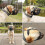 Soft Basket Muzzle for Dogs Secure And Comfortable Fit, Better Prevent Bites, Chewing And Barking Muzzle Tw 5