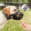 Soft Basket Muzzle for Dogs Secure And Comfortable Fit, Better Prevent Bites, Chewing And Barking Muzzle Tw 4