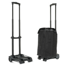(Black) Folding Shopping Trolley 2-Wheels Shopping Cart Grocery Trolley with Storage Bag