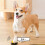 (Rose) Battery Powered Voice Recording Button for Dog Communication Pet Training Buzzer Device 3