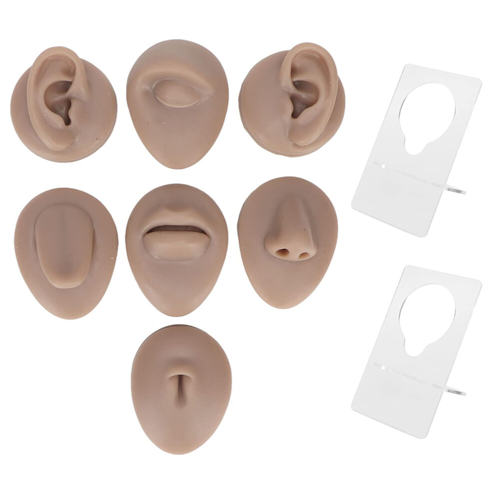 Dark ( Skin) Silicone Piercing Body Model Soft Piercing Practice Model Simulation Ear Eye Nose Mouth Model Set With Display Rack