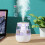 (Green) Dual Mist Outlet Desktop Air Humidifier Home Office Mute Mist Diffuser 4