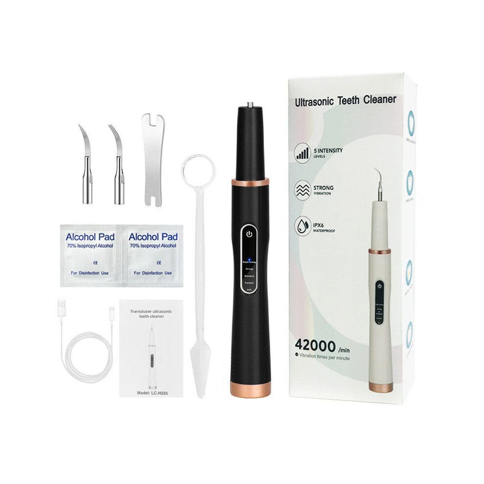 Black (Black) H02077 Plaque Remover Ultrasonic Scaler Tooth Cleaner 5 Modes Rechargeable Teeth Stain Remover Tool