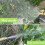 Adjustable Spray Nozzle for Beverage Bottles Push-Pull Design Sprayer Misting Watering Tool 4