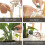 10Pcs PP+Ceramic Self-Watering Dripper Flower Pot Drip Irrigation Bonsai Automatic Watering Tool 6