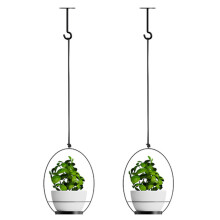001 2-in-1 Hanging Planter Basket Wall-mounted Indoor Flower Pot Holder with Hooks