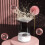 HZ-001 Makeup Brush Cleaner Electric Makeup Brushes Automatic Washing Machine 8