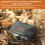 SD/TF/XQD/CF/SIM Card Storage Case Portable ABS+Rubber Waterproof Memory Card Storage Box 5