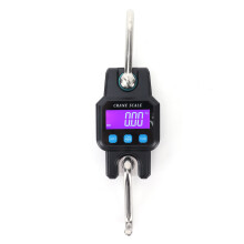 WH-C06 300kg/50g Noir 29x7.5cm Balance numérique