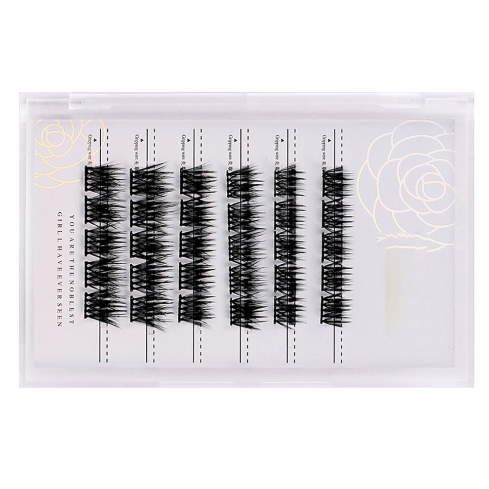Z'LRAQI BEAUTY Individual False Eyelashes