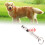 Portable Pet Dog Whistle Keychain Two Tone 1