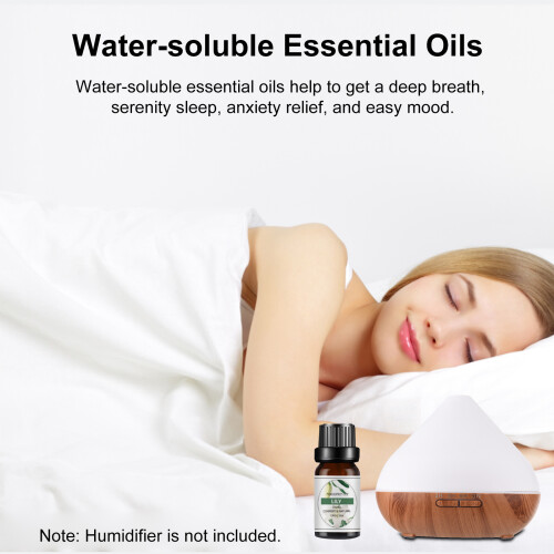 6PCS Water Soluble Aromatherapy Essential Oil for 1