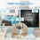 (EU Plug) PT205 Robot Design Home Camera 1080P Auto Tracking 6