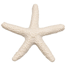15 Piezas De Color Cremoso Lápiz Estrellas Mar Para Decoración Bodas, Del Hogar y Proyectos