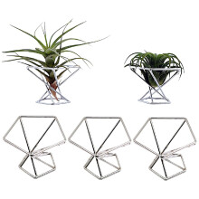 Paquete 5 Titular de la Planta Aire Titulares Plantas ExhibicióN Tillandsias Contenedor Purificadora Soporte Helecho Aire, Plateado