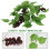 2x Artificial Grape Vine Garland Fruit for Home Garden Decoration 6
