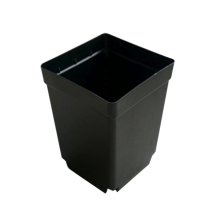 100 macetas desechables para plantas, pequeñas, negras, cuadradas, para esquejes de plántulas de plástico