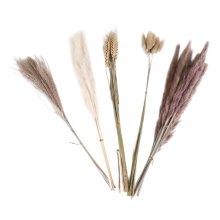 Decorazione in erba di pampa naturale, 40 pezzi, 45 cm, polvere di grano essiccata, coda di coniglio bianca, pianta Boho
