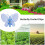 Clip per orchidee, 30 pezzi, supporto per piante a farfalla, per fiori 5