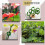 30 Pack Plant Support Stakes, Garden Single Stemmed Prop, Sticks 3
