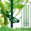 30 Pack Plant Support Stakes, Garden Single Stemmed Prop, Sticks 5