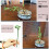30 Pack Plant Support Stakes, Garden Single Stemmed Prop, Sticks 7
