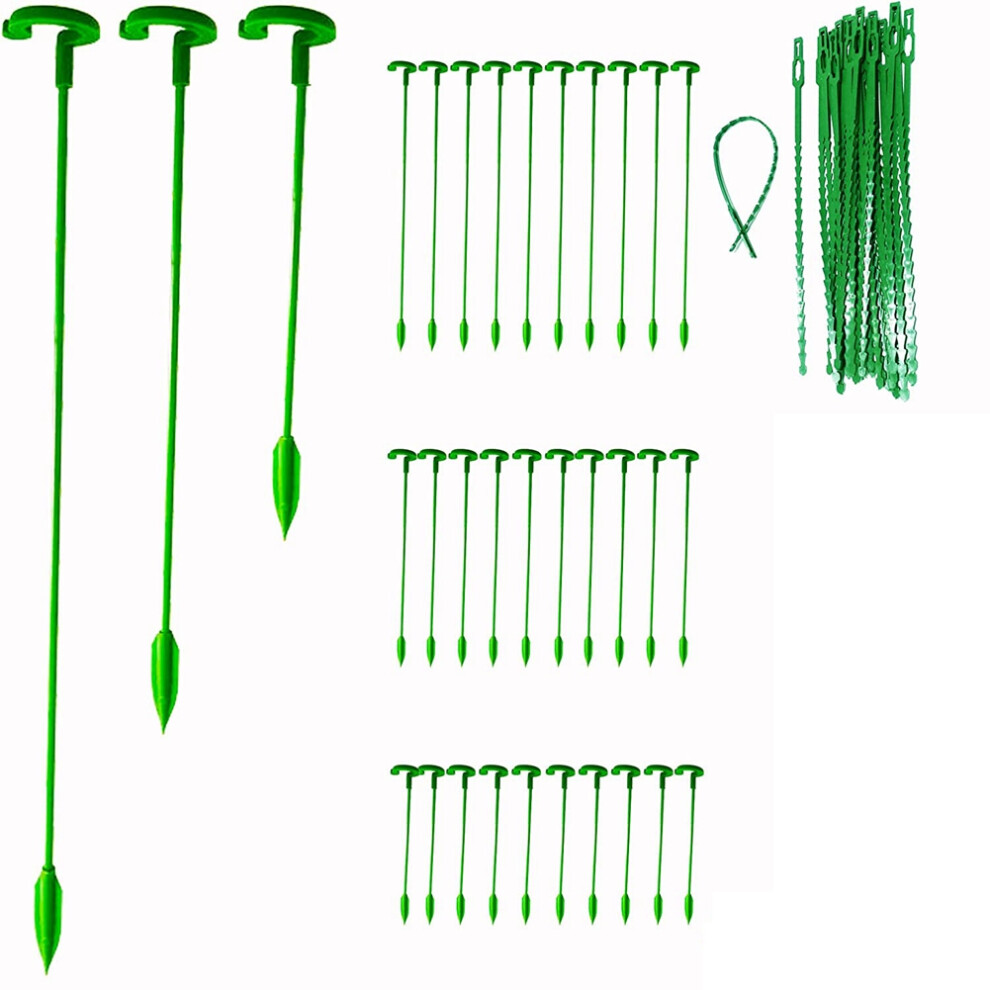 Exogio 30 Pack Plant Support Stakes, Garden Single Stemmed Prop, Sticks