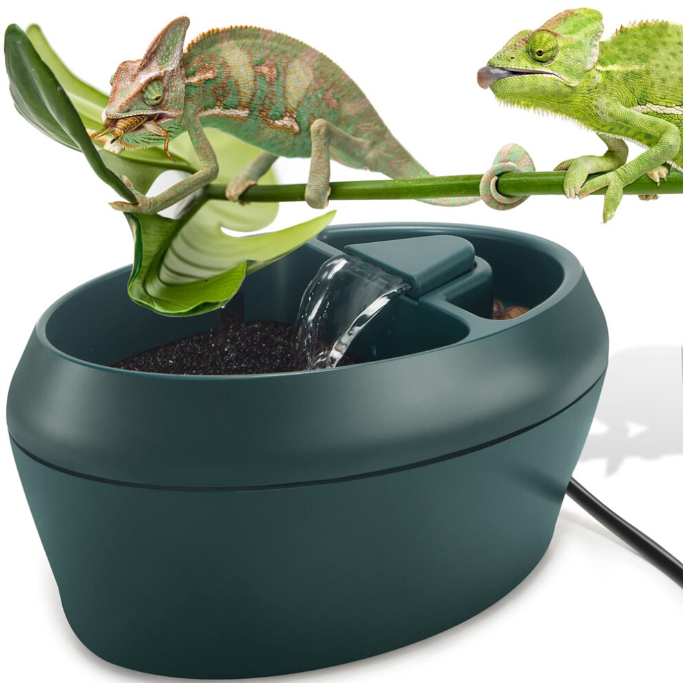 Reptilien-ChamäLeon-Cantina Mit Snacktrog, Trinkbrunnen, Wassertropfer FüR Amphibien, Insekten, Eidechsen, Us-Stecker-image