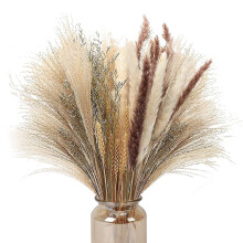 70 pezzi di erba di pampa naturale decorativa, decorazione secca da 17 pollici - 5 piante pompose colorate per fiori