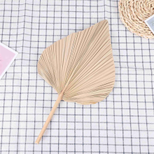 Getrocknete Palmblätter, Raumdekoration, 5 Stück – 45,7 cm H x 25,4 cm B, großes natürliches Blatt für einen wunderschönen Boho-Look
