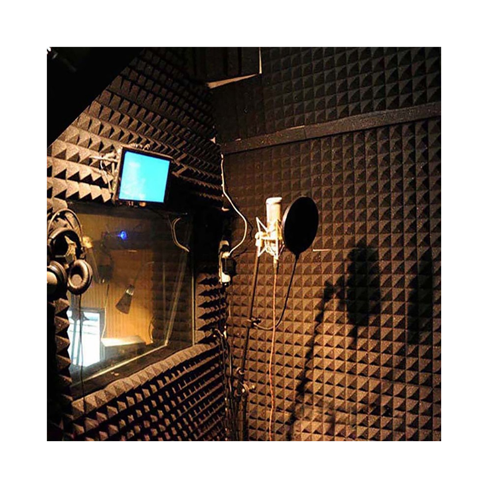 Acoustic Foam Panels 12 Pcs, Soundproof Wall 30X30x5cm, High Density Sound Absorbing Panel For Walls White 4852799919973