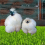 Chicken Nesting Box Pads for Laying Eggs with Vegetable Skewer String Feeder, Washable 6Pcs 4